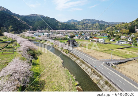 松崎町　桜並木 64060020