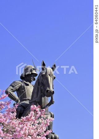 桜と伊達政宗騎馬像 桜と伊達政宗騎馬像 64060441