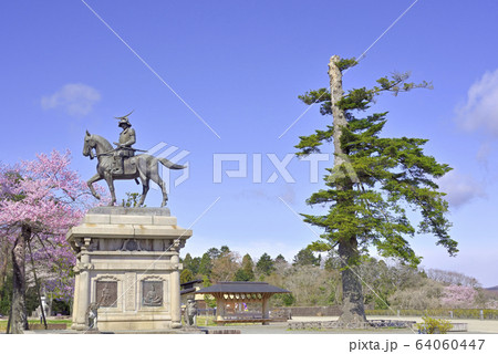 桜と伊達政宗騎馬像 64060447