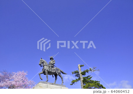 桜と伊達政宗騎馬像 桜と伊達政宗騎馬像 64060452