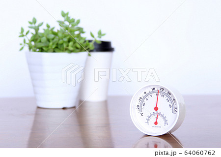 植物、温湿度計で室内空調を快適に Foliage plants adjust humidity 64060762