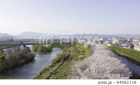 京都の桜並木 64062116