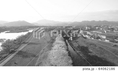 【セピア】京都の桜並木 64062186