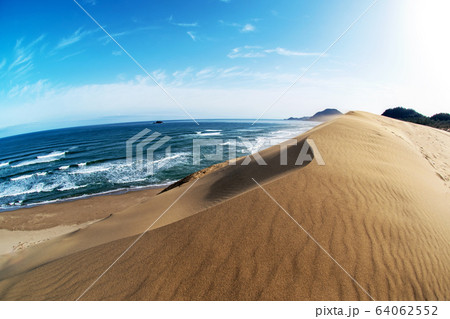 鳥取砂丘 風紋 青空 鳥取砂丘 風紋 青空 64062552