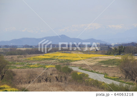 利根川（埼玉大橋・上流側） 64063218