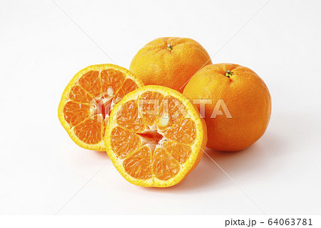 ポンカン　みかん 64063781