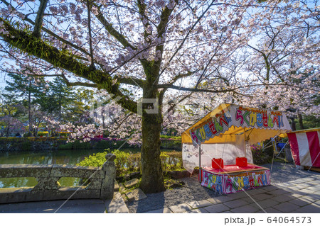 屋台　桜 64064573