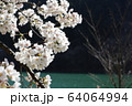 湖面の桜 64064994
