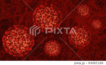 肺の中の新型コロナウィルス Coronavirus Disease 2019 'COVID-19'  64065166