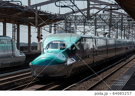 東北新幹線E5系編成写真 64065257