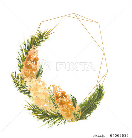 Geometric frame with Mimosa branches on the outer edge on a white isolated background. Watercolor illustration. 64065655