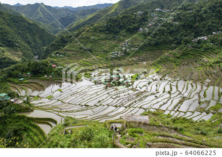 Btad rice terrace 64066225
