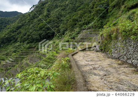 Batad rice terraces Batad rice terraces 64066229