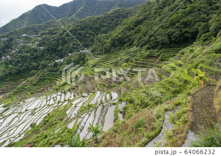 Batad rice terraces 64066232