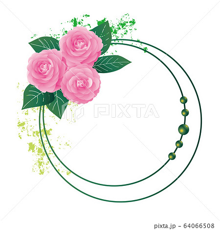 椿　背景　フレーム 64066508