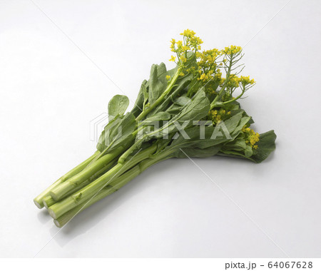 Fresh chinese flowering cabbage isolated on white 64067628