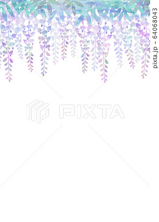 藤の花のイラスト素材