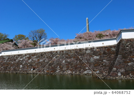 ■ 甲府城 ■ 舞鶴城公園 ■ 快晴 ■ 山梨県 ■ 桜満開 64068752