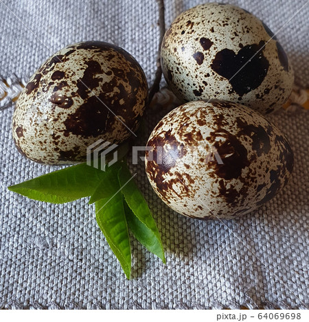 Quail eggs. Easter. Top view, copy space Quail eggs. Easter. Top view, copy space 64069698