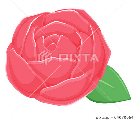 赤い薔薇のイラストのイラスト素材