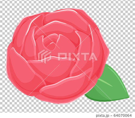 赤い薔薇のイラストのイラスト素材