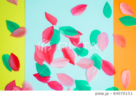 Colored feathers on colorful background Colored feathers on colorful background 64070151