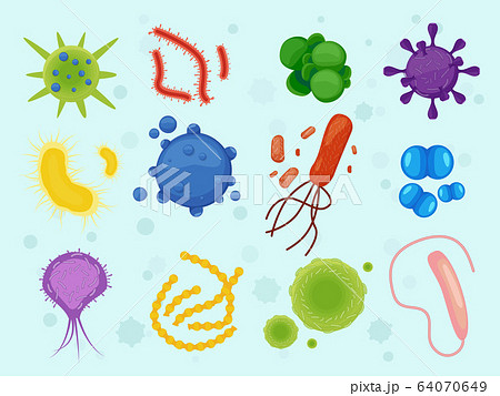 Viruses And Microbes Different Bacterias のイラスト素材