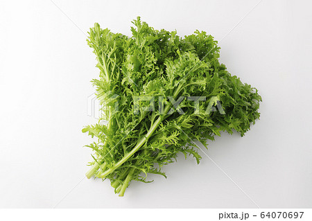 わさび菜　あいさい菜 64070697