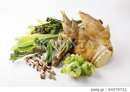 春の山菜 64070732