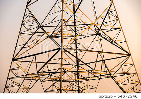 Birds on High voltage pole, Transmission tower in 64072546