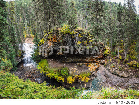 Johnston Canyon in Bow valley with stream flowing Johnston Canyon in Bow valley with stream flowing 64072608