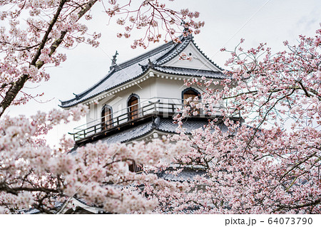白石城と桜　宮城県白石市 64073790