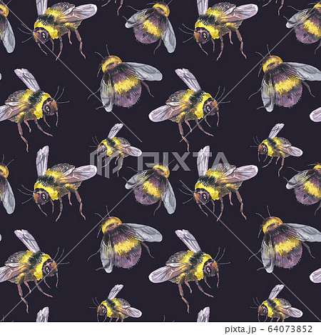 Watercolor bee seamless pattern. Summer natural 64073852