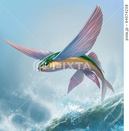 Flying fish yellow green jumping and flying Flying fish yellow green jumping and flying 64074208