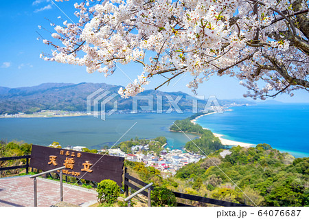 日本三景の天橋立 桜が満開の丹後半島天橋立 64076687