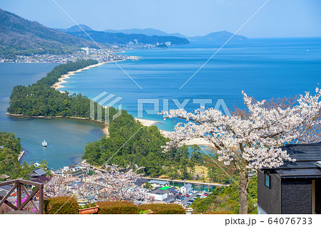 日本三景の天橋立 桜が満開の丹後半島天橋立 64076733