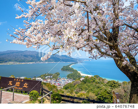 日本三景の天橋立 桜が満開の丹後半島天橋立 日本三景の天橋立 桜が満開の丹後半島天橋立 64076748