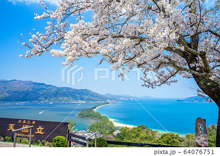 日本三景の天橋立 桜が満開の丹後半島天橋立 日本三景の天橋立 桜が満開の丹後半島天橋立 64076751