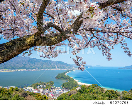 日本三景の天橋立 桜が満開の丹後半島天橋立 日本三景の天橋立 桜が満開の丹後半島天橋立 64076763