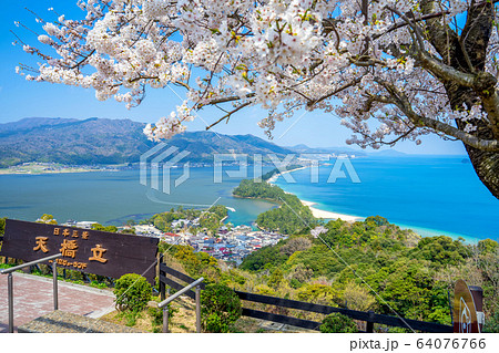 日本三景の天橋立 桜が満開の丹後半島天橋立 日本三景の天橋立 桜が満開の丹後半島天橋立 64076766