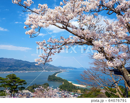 日本三景の天橋立 桜が満開の丹後半島天橋立 64076791