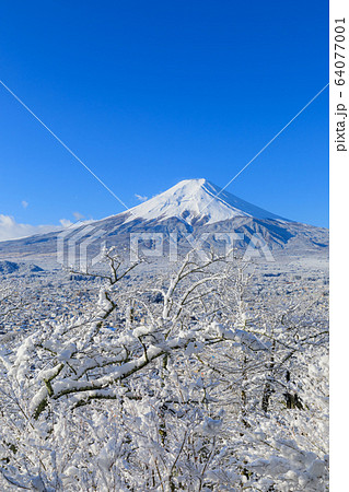 山梨_厳冬の絶景富士山 山梨_厳冬の絶景富士山 64077001