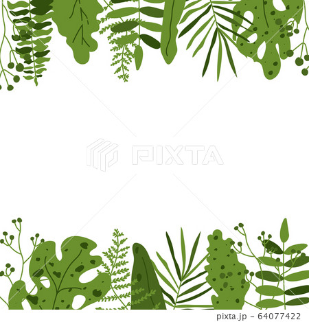 Tropical leaf square frame closeup banner vector 64077422
