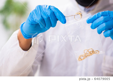 Male expert criminologist working in the lab for evidence 64079005