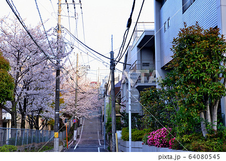 代々木上原駅周辺 さくら並木の住宅街 64080545