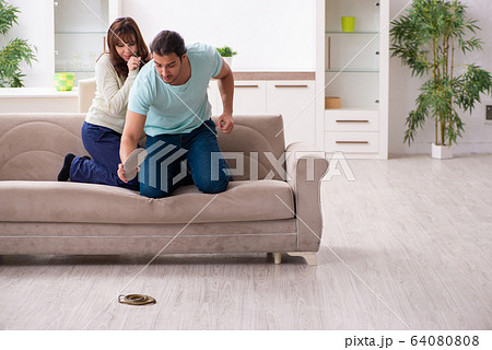Young couple and snake in the flat Young couple and snake in the flat 64080808