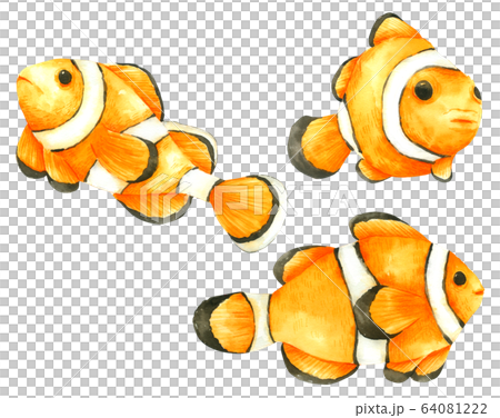 Nemo Fish watercolour set isolated on white background Nemo Fish watercolour set isolated on white background 64081222