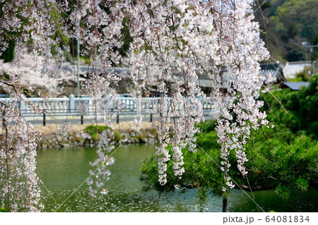 宇賀神社 64081834