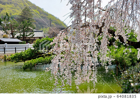宇賀神社 64081835