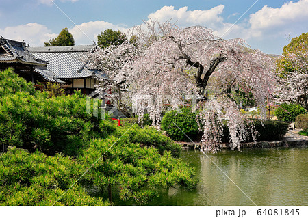 宇賀神社 宇賀神社 64081845